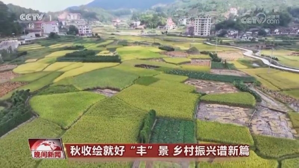 [視頻]秋收繪就好“豐”景_鄉村振興譜新篇_2025-09-09_22_28_18.jpg