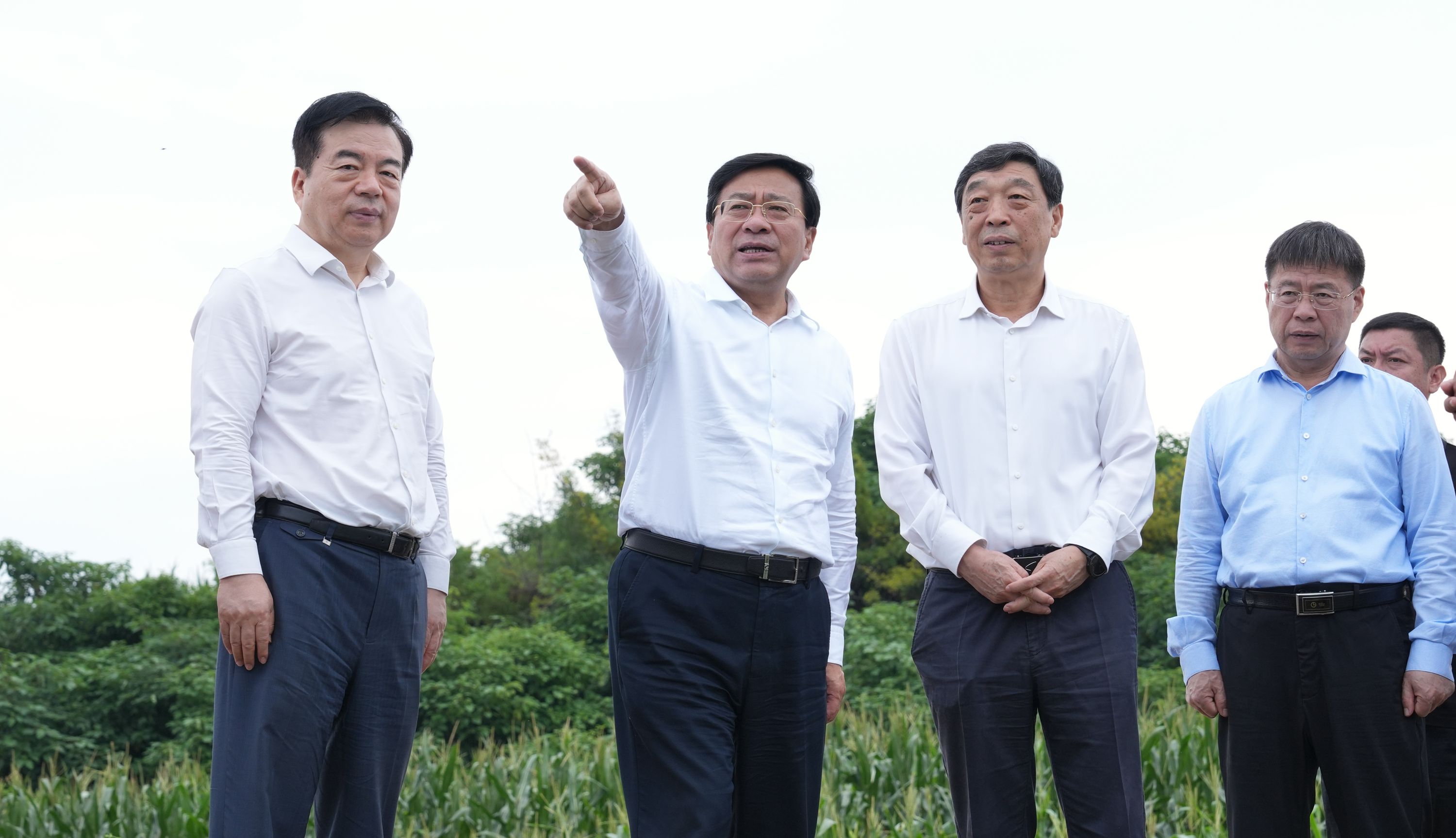附件.png.jpg